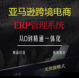 河南出售亞馬遜erp管理系統一對一指導包教包會
