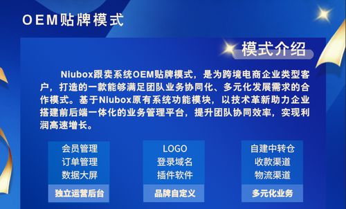 亞馬遜跟賣助手工具與企業業務系統定制 雙管齊下，提升電商運營效能